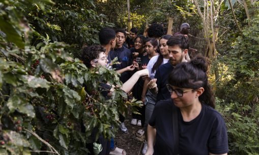Entre a terra e a memória: intercâmbio da ETP fortalece laços com a luta pela reforma agrária em visita ao Assentamento Roseli Nunes